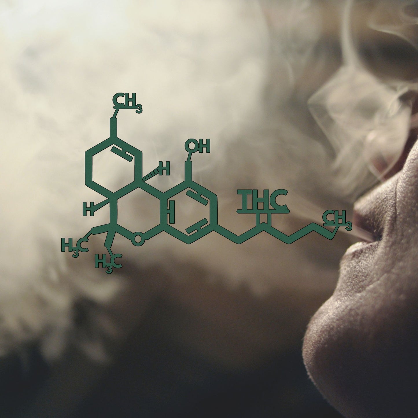 Marijuana Molecule Metal Wall Art, Cannabis Smoke Room Decor