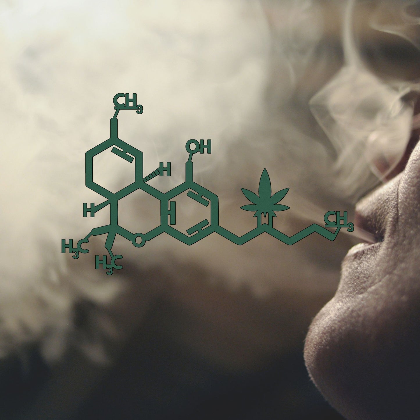 Marijuana Molecule Metal Wall Art, Cannabis Smoke Room Decor