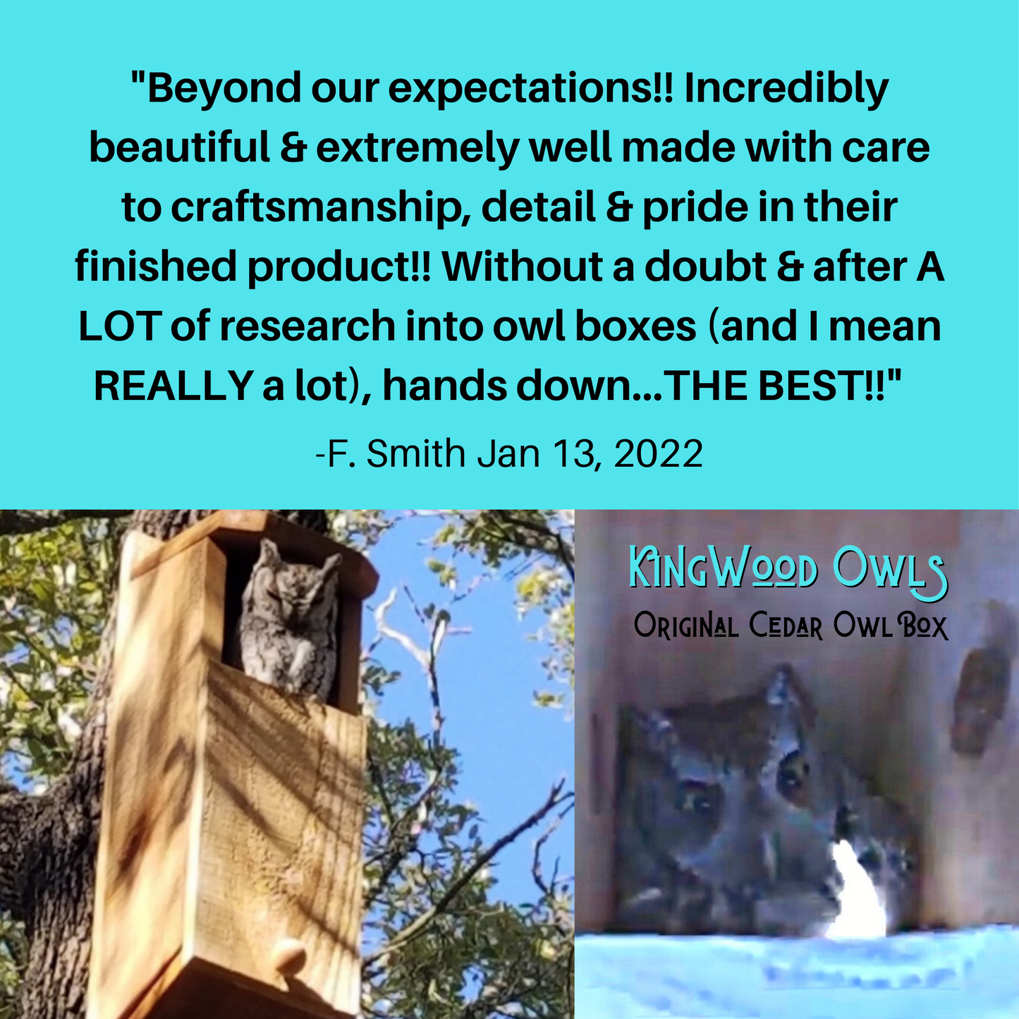 Customer review and pics of happy owl nesting, stating it was beyond their expectations and love the finished products
