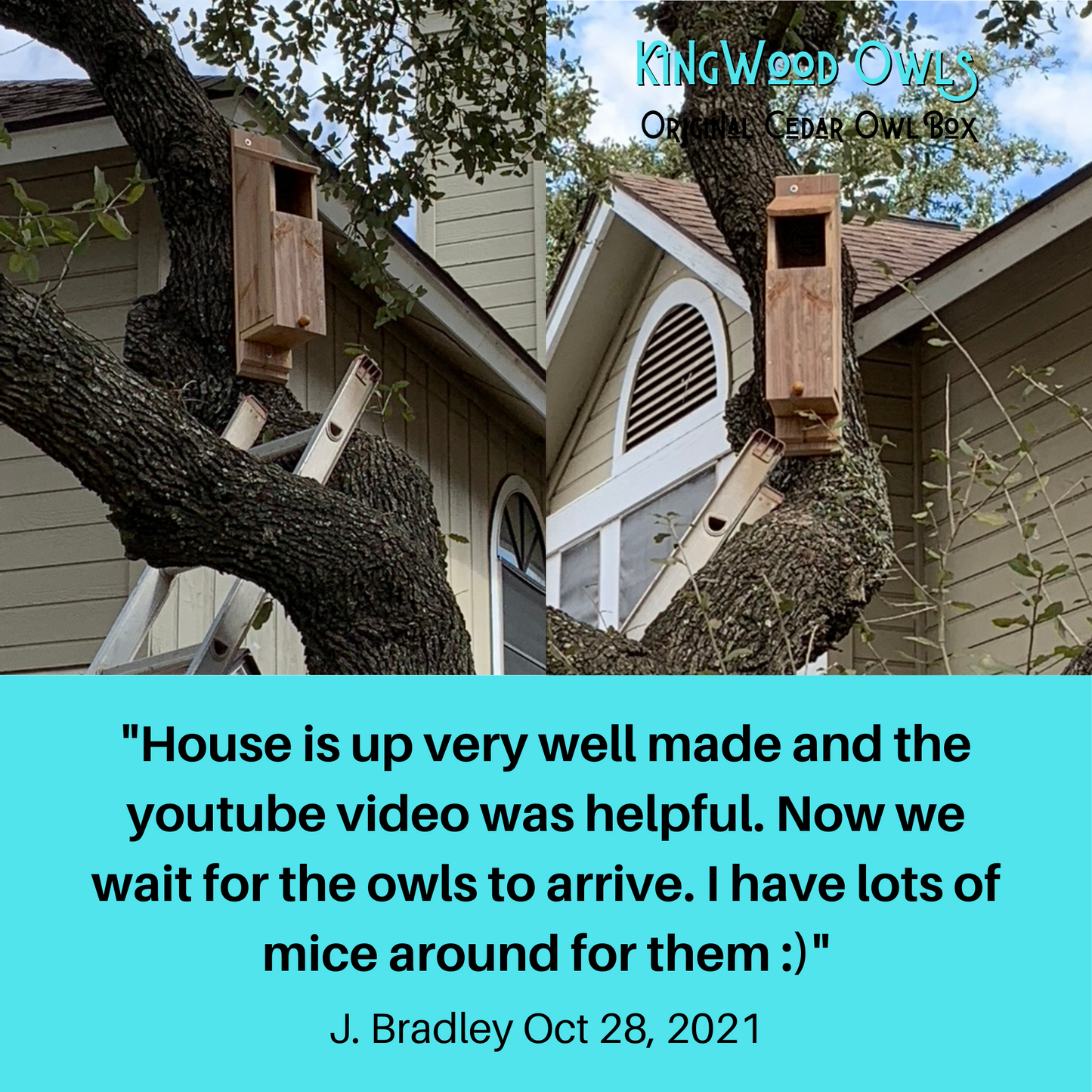 A happy customer review stating they have lots of mice around for owls to hunt, and that they install video was very helpful