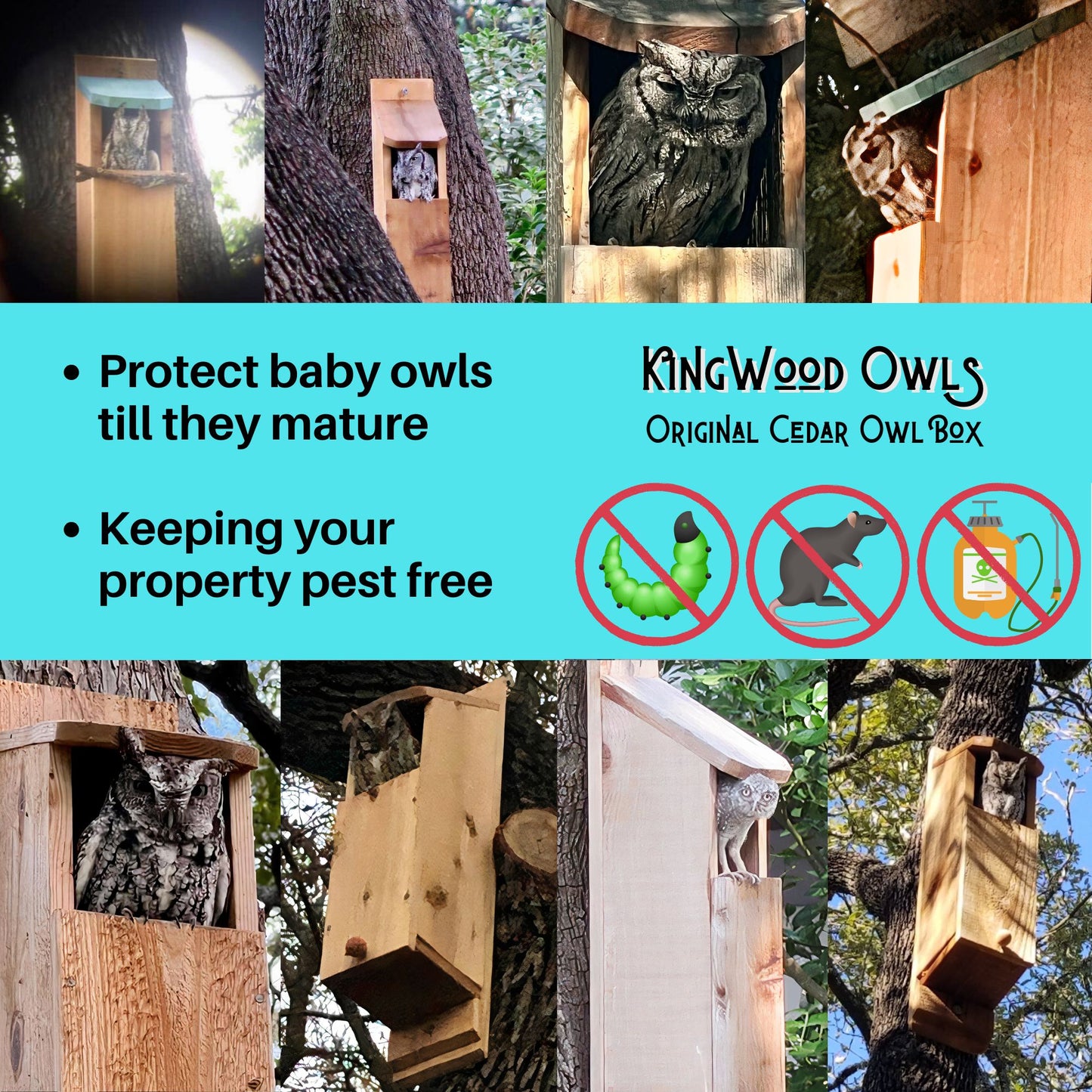 KingWood Original Owl House Box is designed to Protect Baby Owls with a deep cavity, Also providing amazing all natural pest control for you lawn and gardens