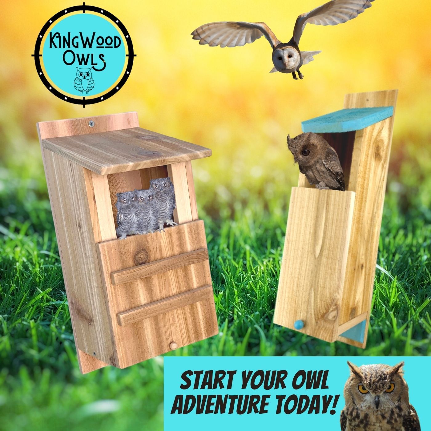 KingWood Premium Cedar Owl House