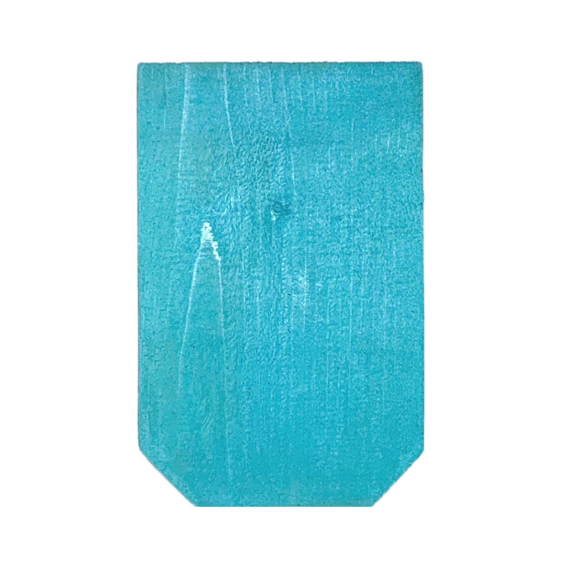 KingWood Original Cedar Owl House w/color POP! blue