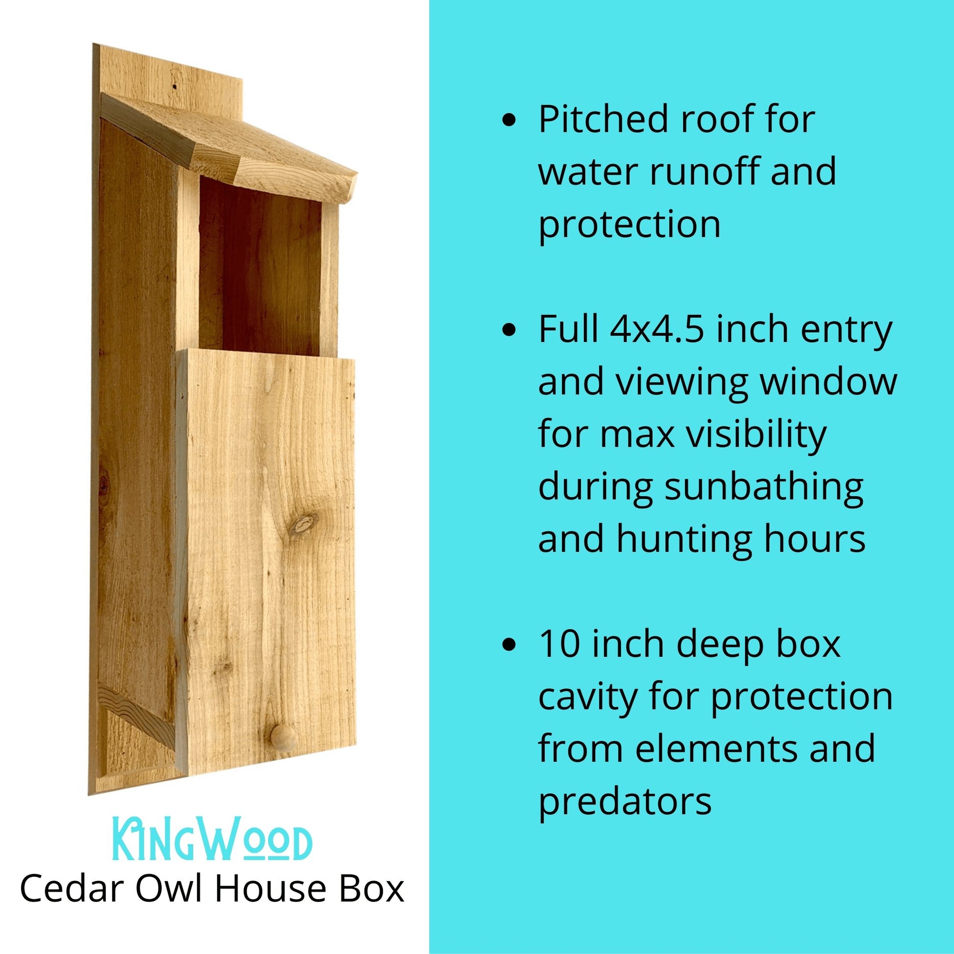 KingWood Original Cedar Owl House w/color POP!