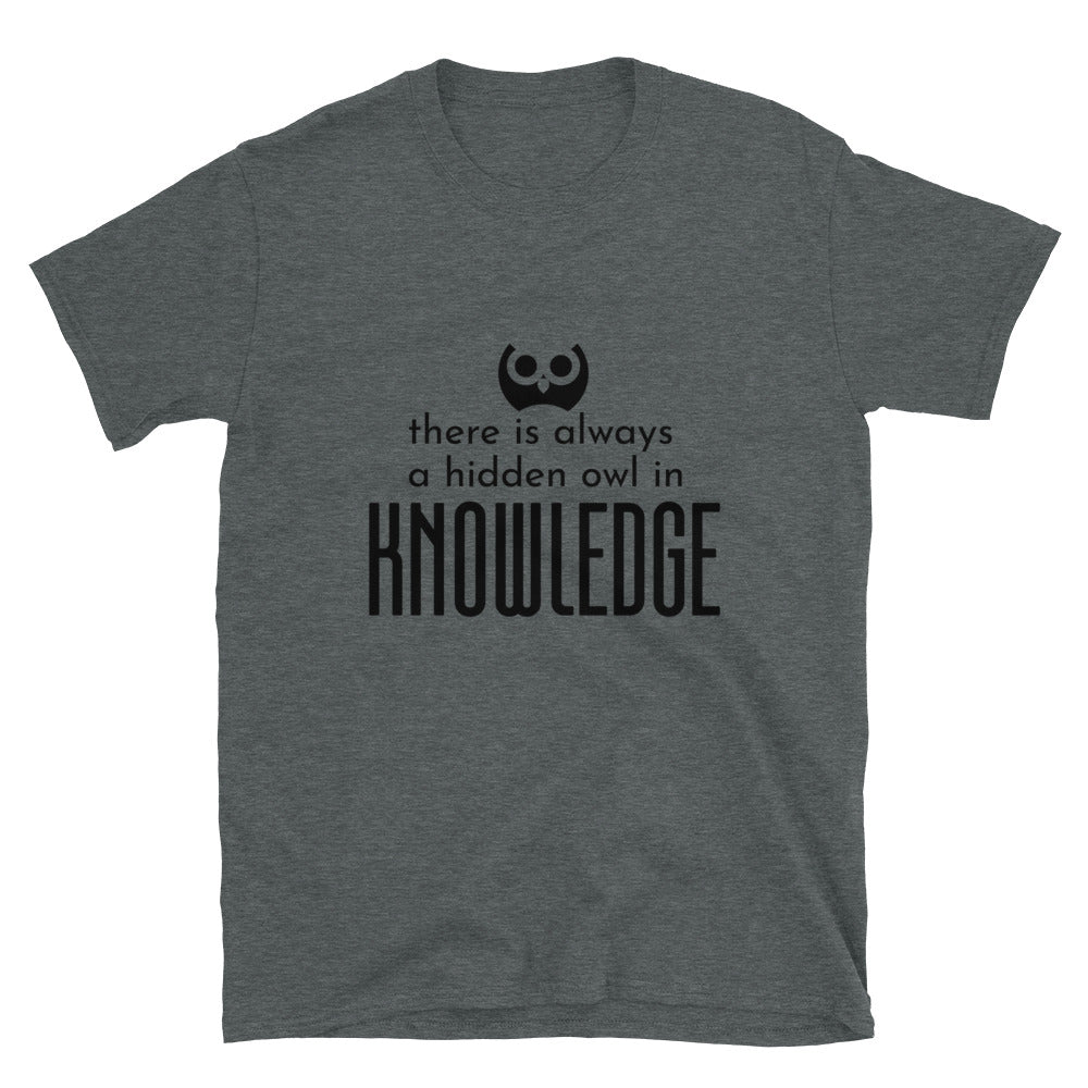 KingWood Hidden Owl In Knowledge Short-Sleeve T-Shirt, Unisex in heather gray