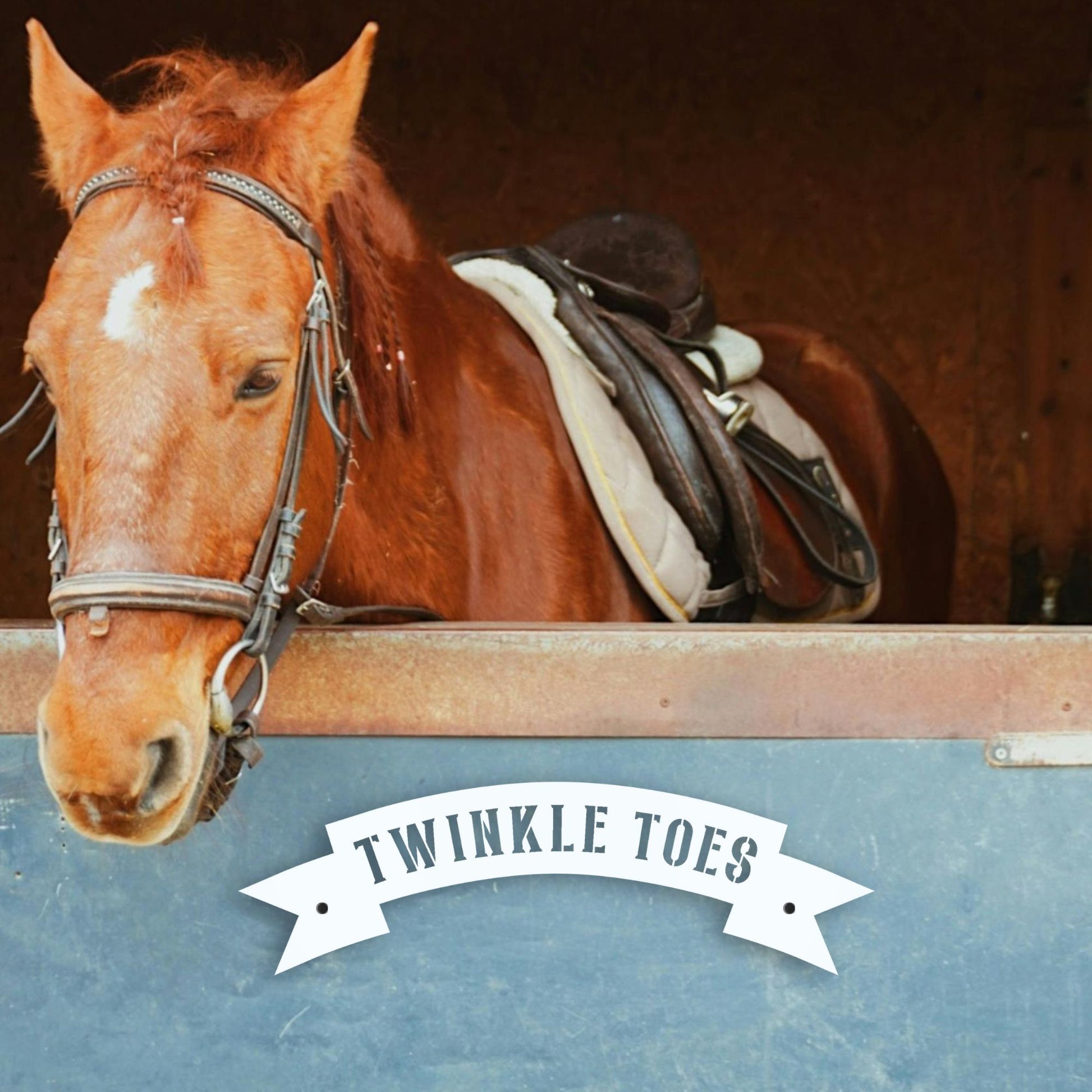 Brown horse with a saddle in a stable, featuring the name 'Twinkle Toes'.