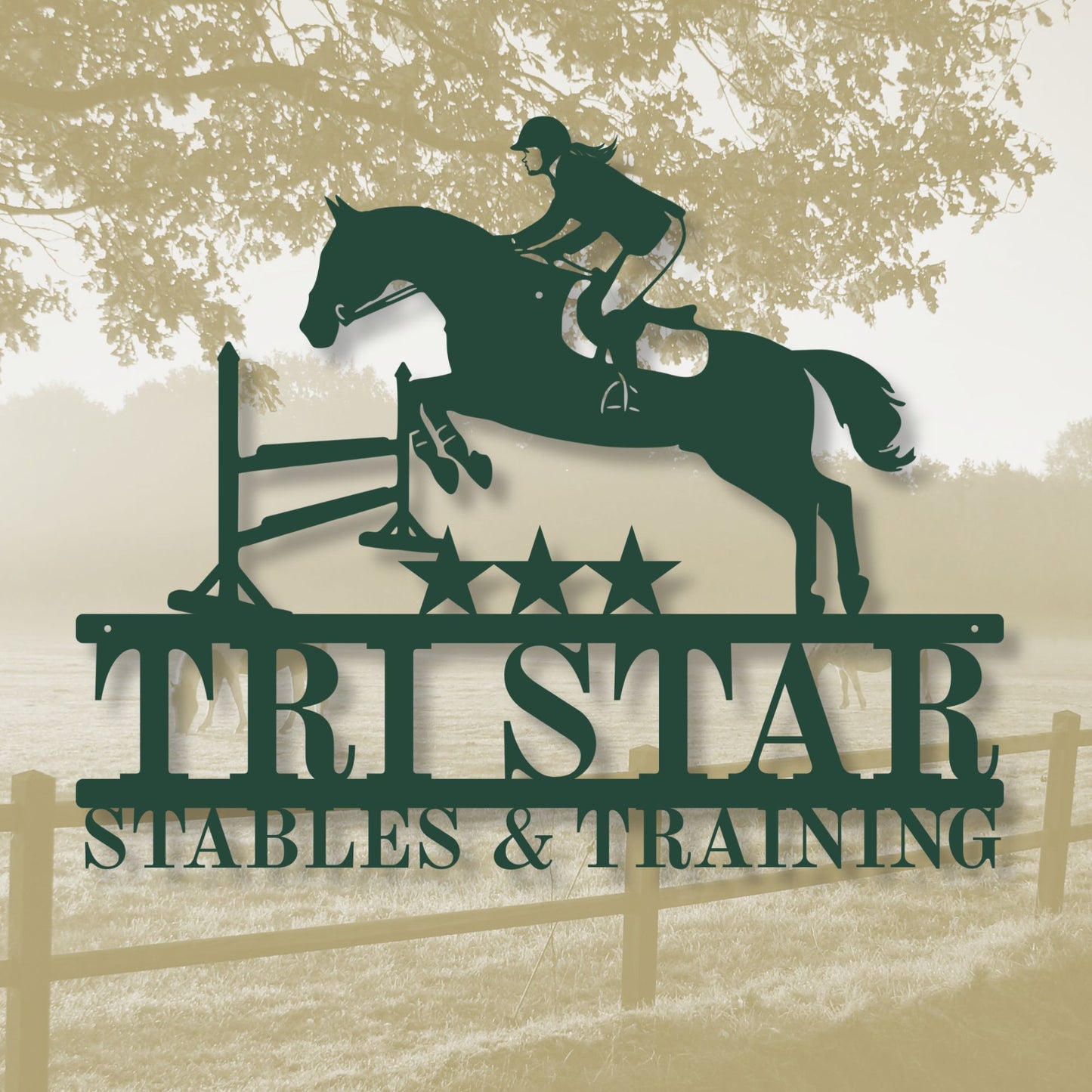 Decorative sign for TriStar Stables & Training with a horse and rider silhouette.