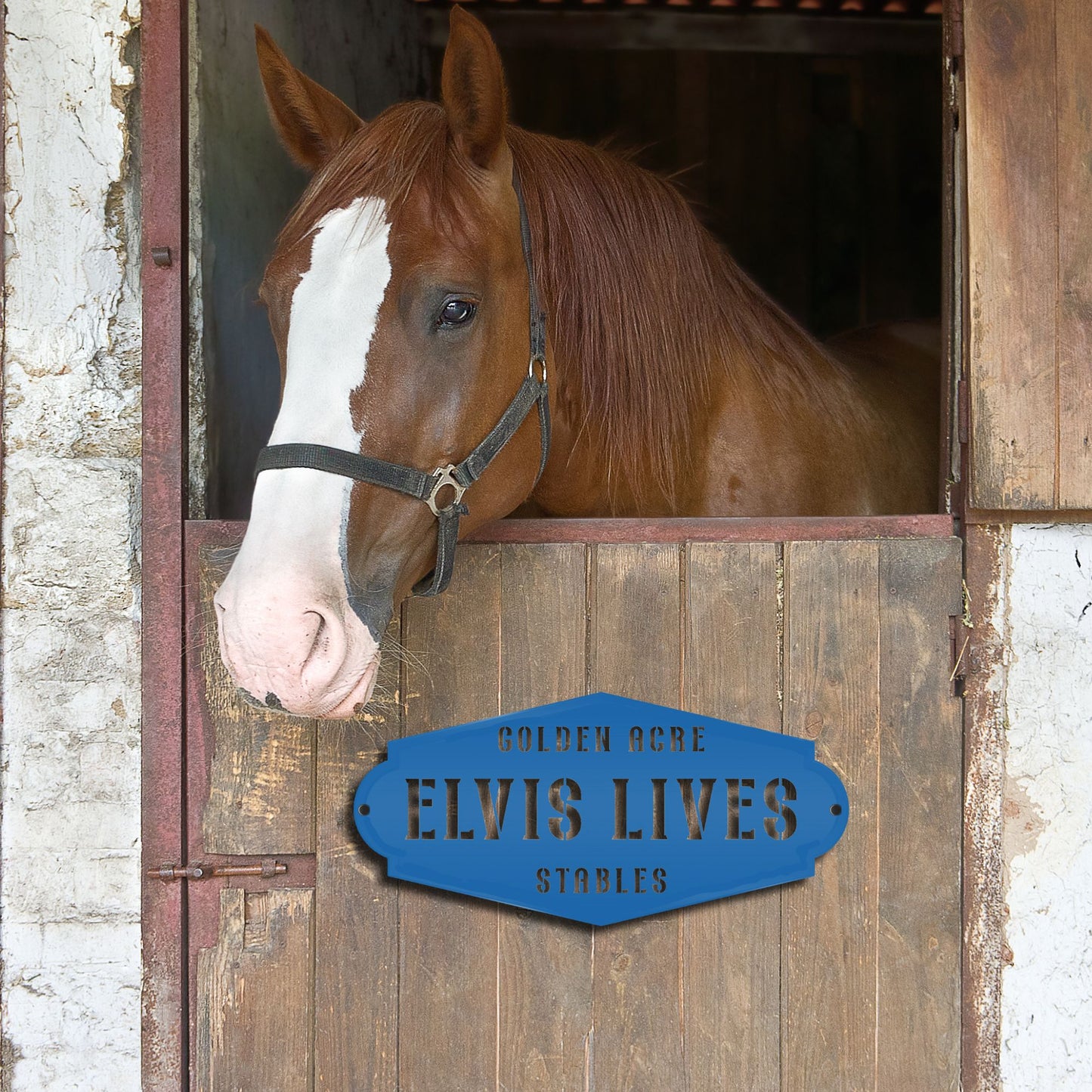 Horse peeking out from a stable with a sign reading 'Elvis Lives Stables'.