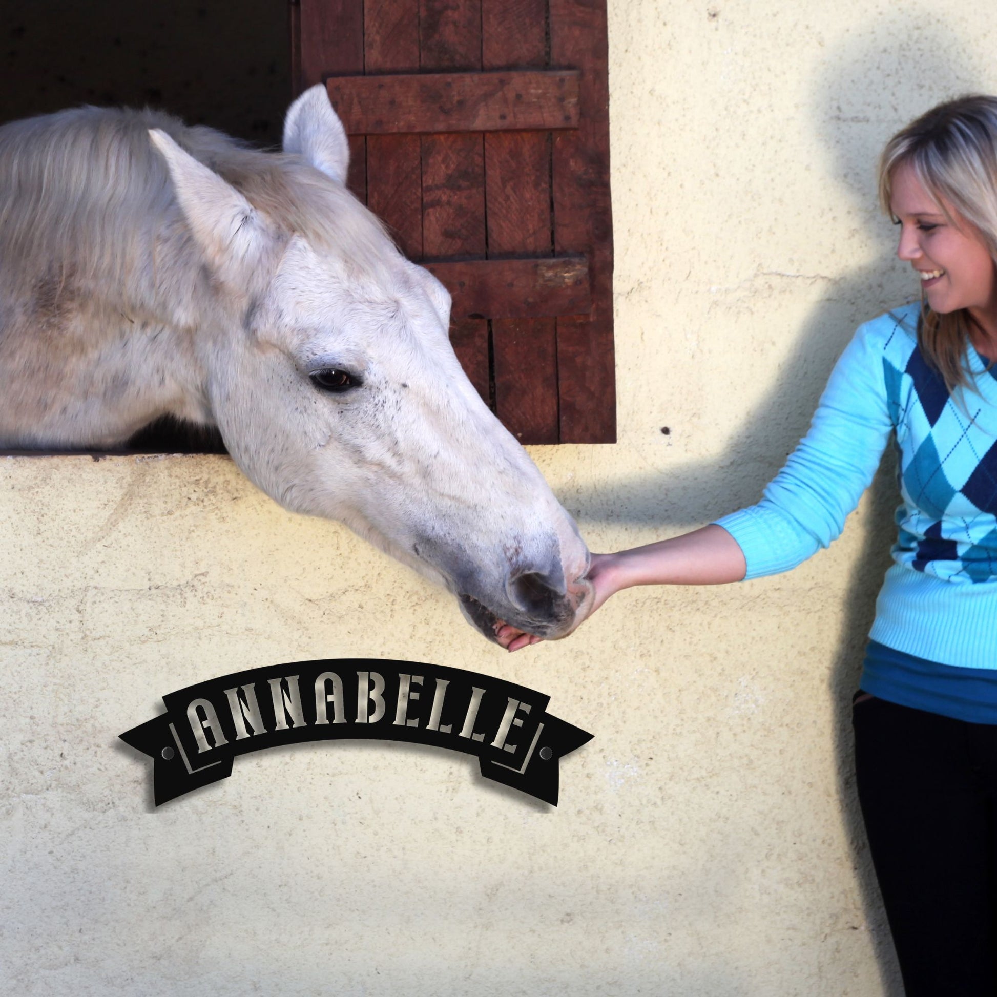 Woman interacting with a horse named Annabelle in a stable setting