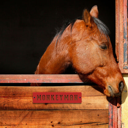 Horse peeking over a wooden fence with 'MONKEYMAN' sign against a dark background