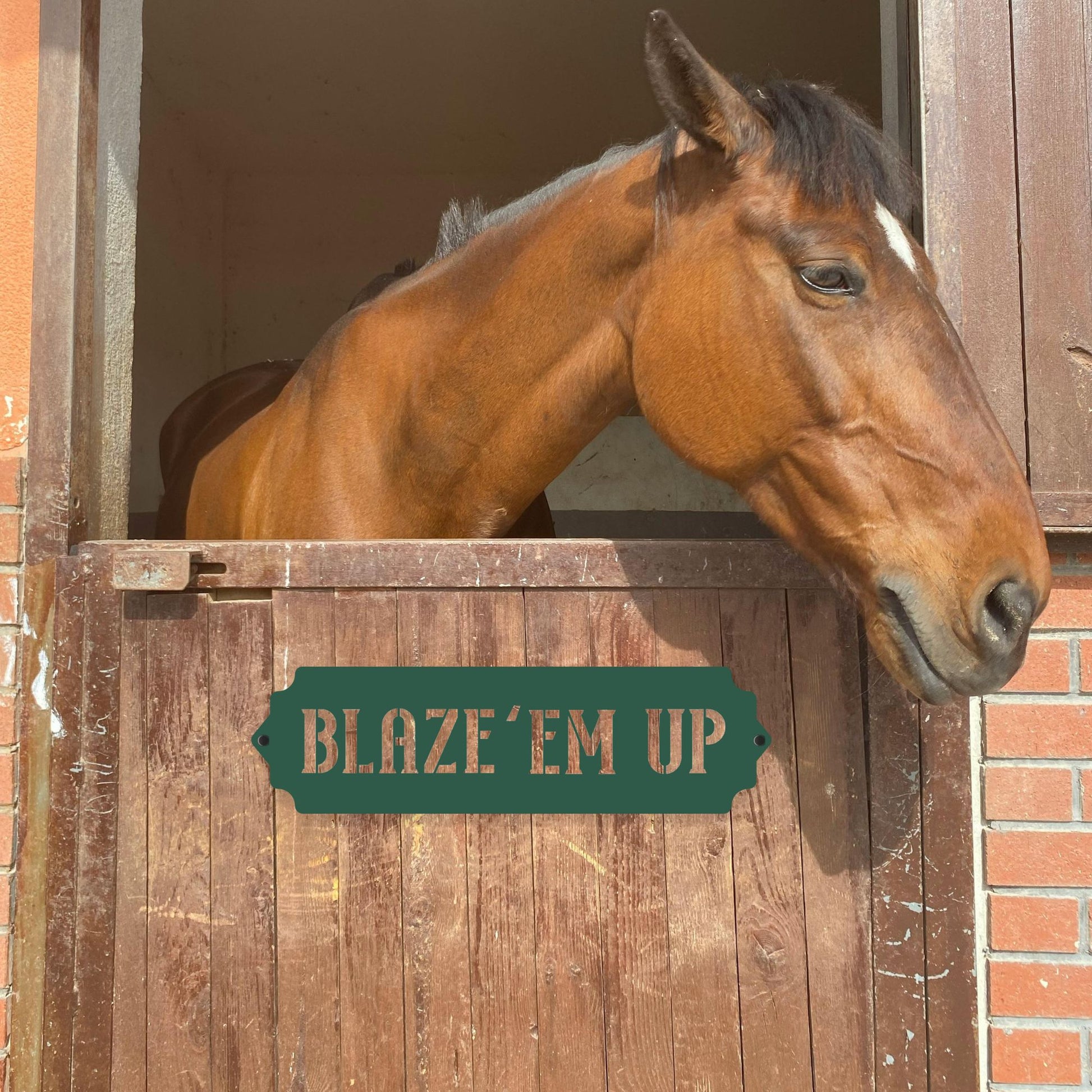 Horse peeking out of a stable with a sign reading 'BLAZE'EM UP'.