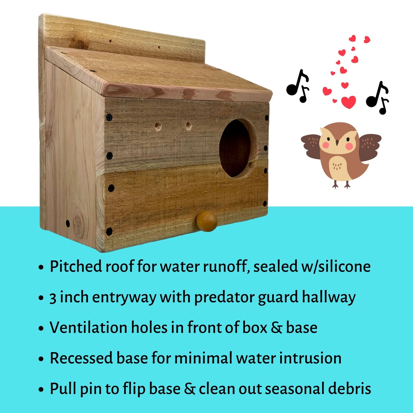 KingWood Little Owl Box specs and flip base for debris removal