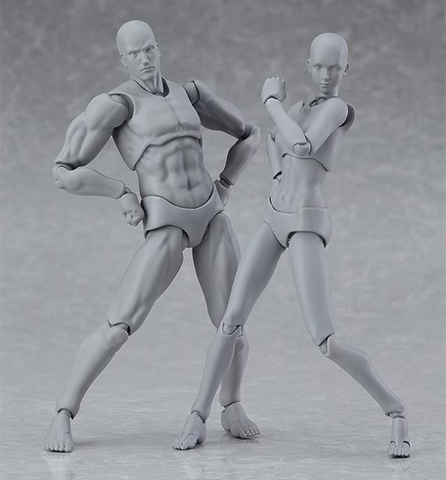 Human Body Model Body  Doll Movable Painting Art Men And Women