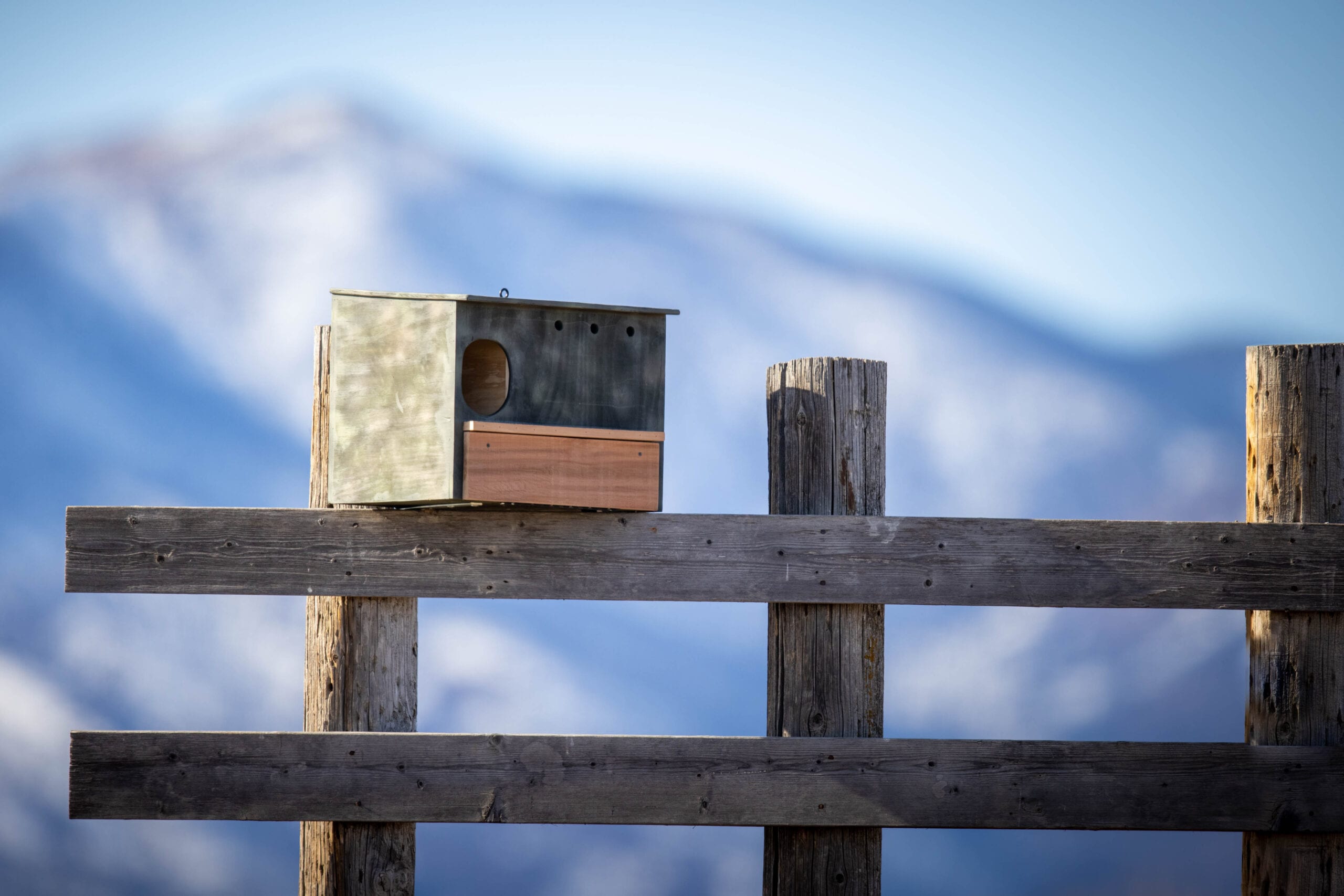 KingWood Big Owl House Box Installed on a ranch fence