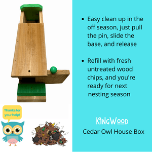 KingWood Cedar Owl House box with color pop