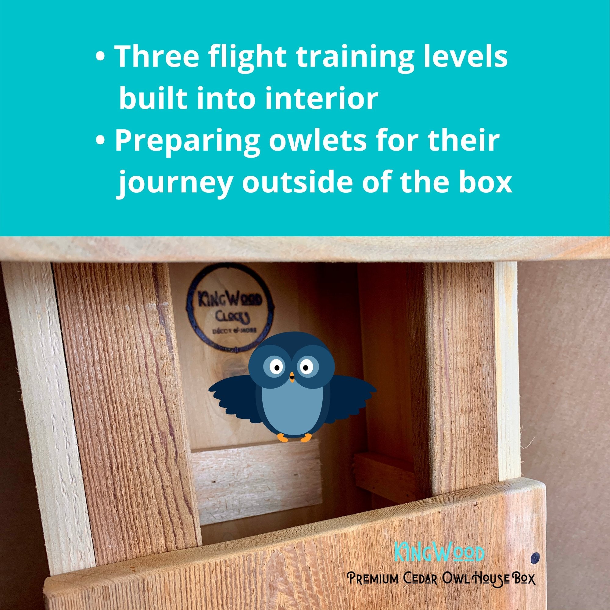 Kingwood Premium Cedar Owl Box Flight train
