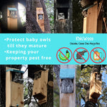 Load image into Gallery viewer, KingWood Original Owl House Box Protect Baby Owls
