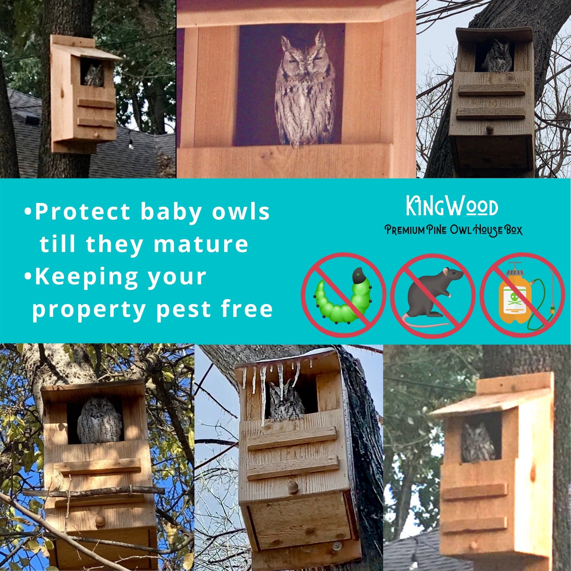 KingWood Premium Pine Owl House Box pest control