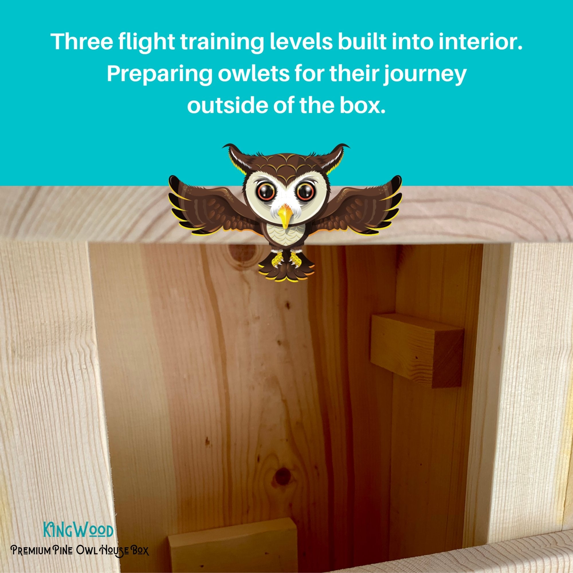 KingWood Premium Pine Owl House Box flight training levels for owlets