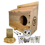 Load image into Gallery viewer, KingWood Little Owl Box
