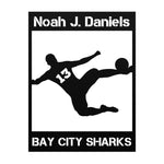 Load image into Gallery viewer, Personalized Soccer Player Metal Wall Art Poster
