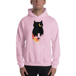 Load image into Gallery viewer, Mountain Moonlight Owl Hoodie, Unisex pink
